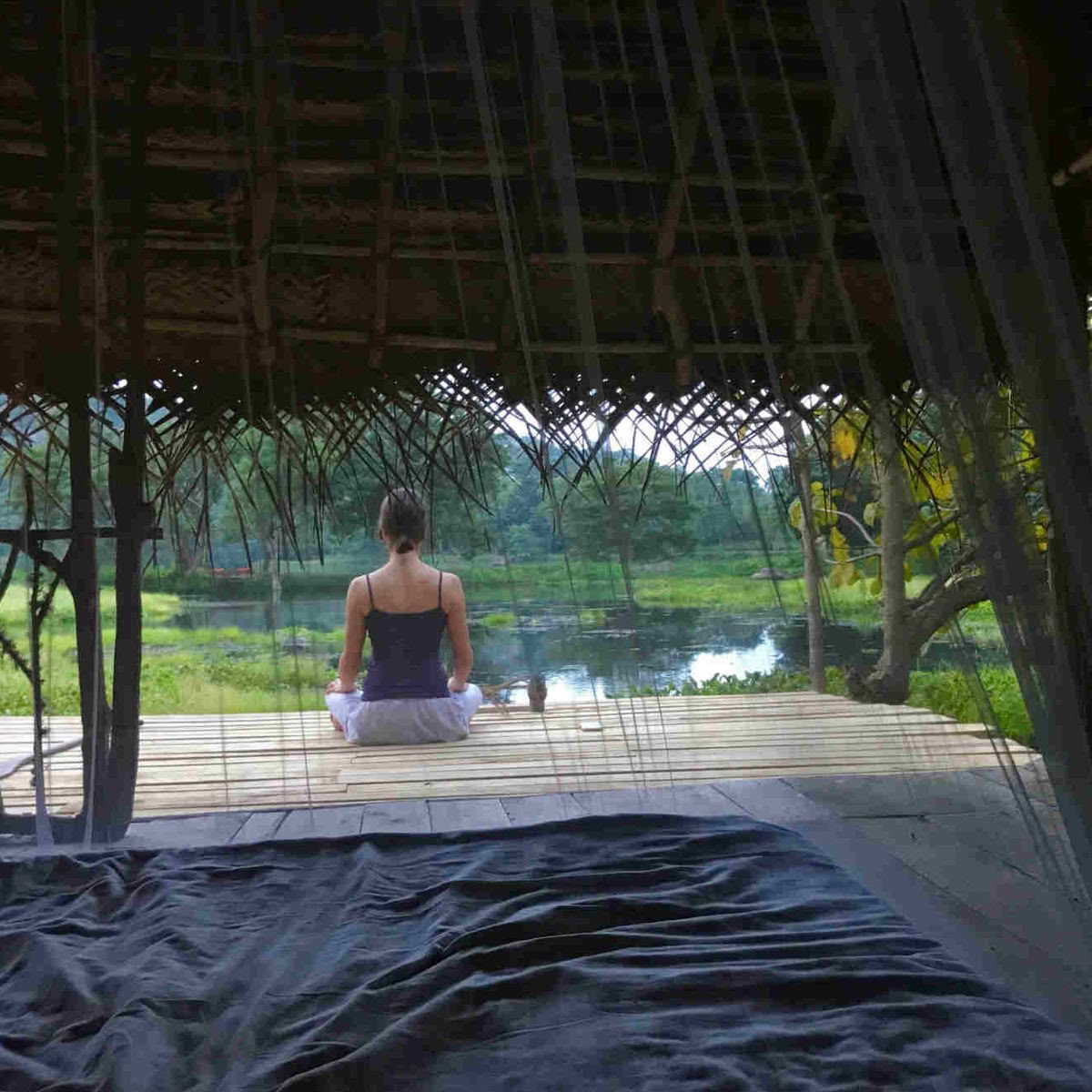 Molly McLaughlin - Naturaleza Despierta