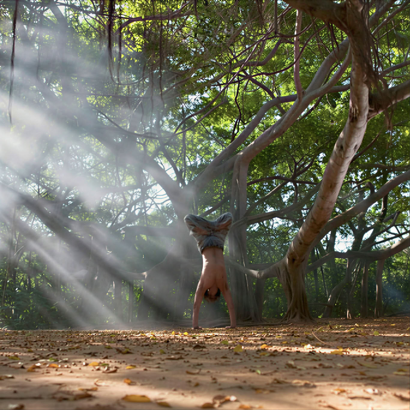 Mick Barnes - 8 extremidades del Hatha Yoga