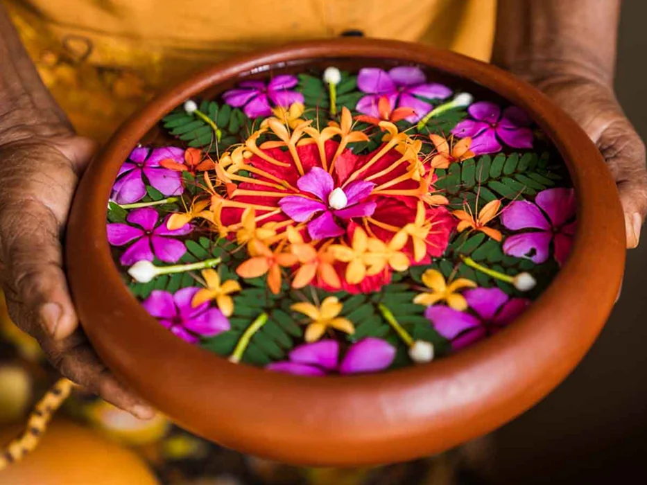 James de Maria - Flujo de Yoga Consciente