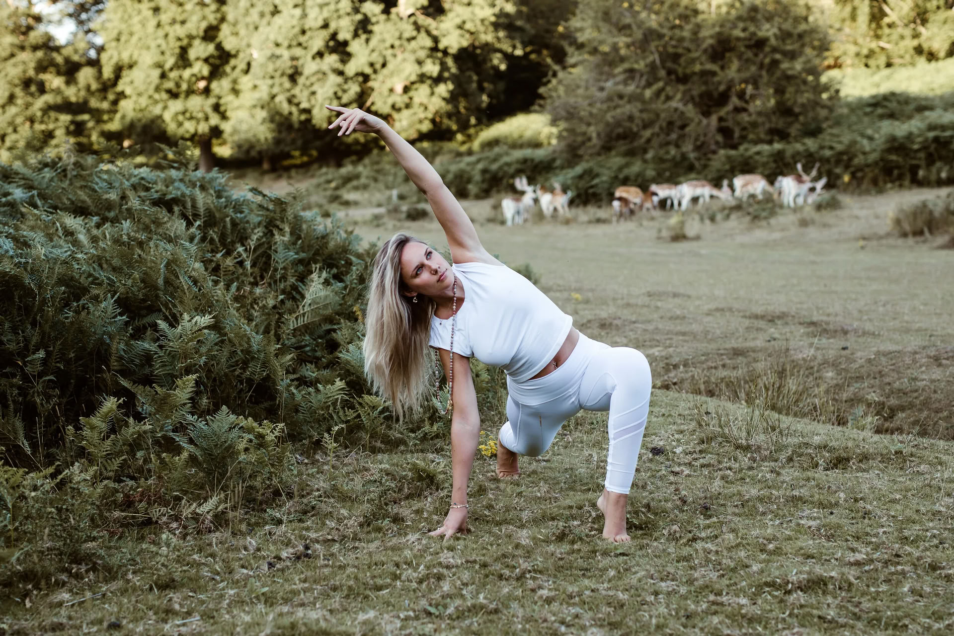 Vinyasa Flow + Yin Yoga (Todos los niveles)