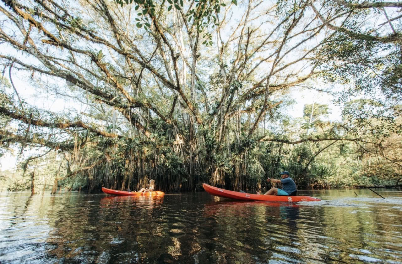 Retiro de 10 días en el Amazonas
