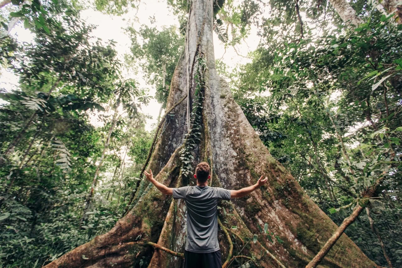 Retiro de 10 días en el Amazonas