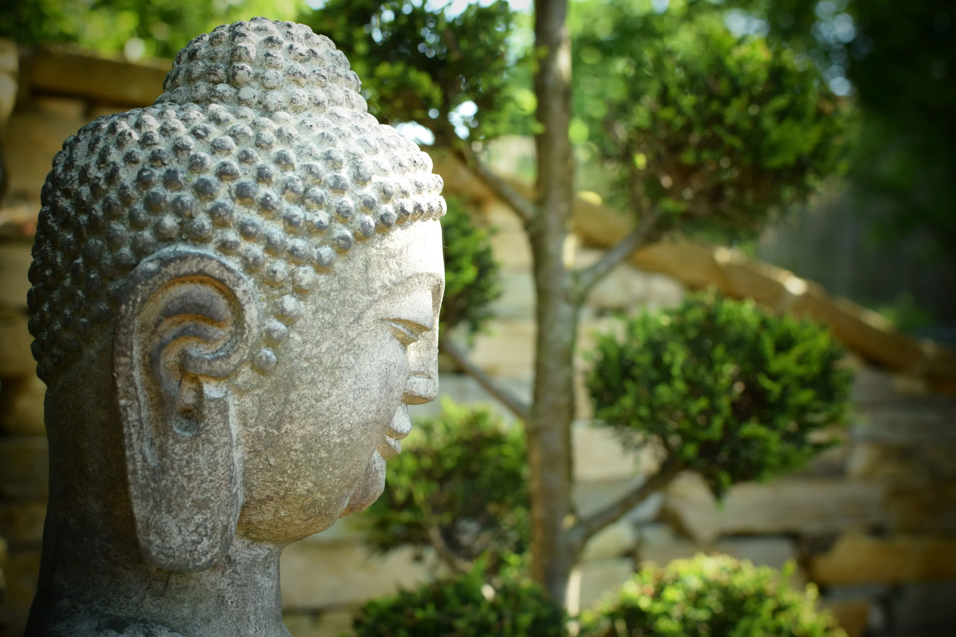 Vipassana (meditación de introspección)
