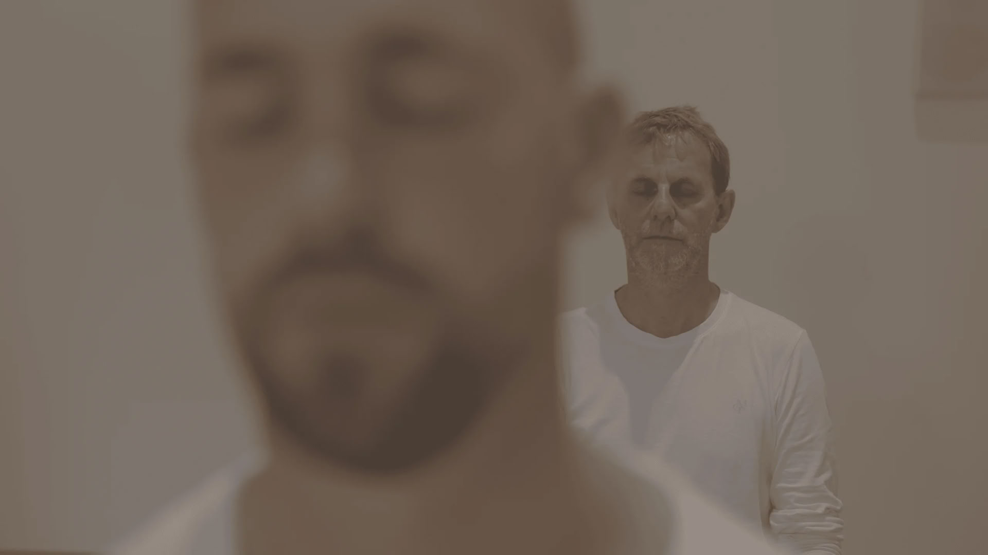 Vipassana (meditación de introspección)