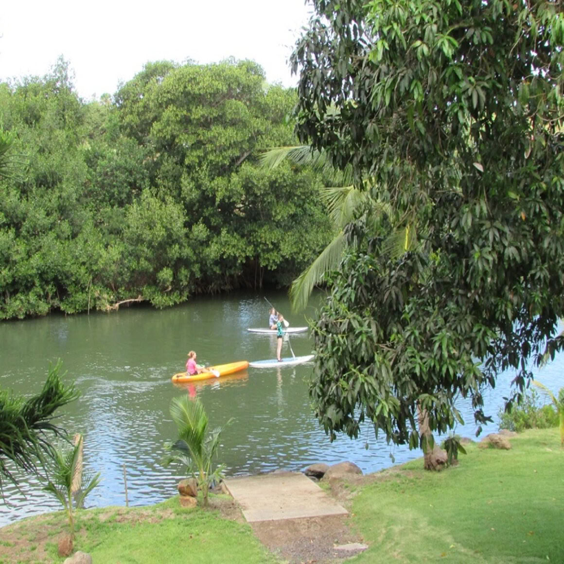 Clases de SUP semiprivadas