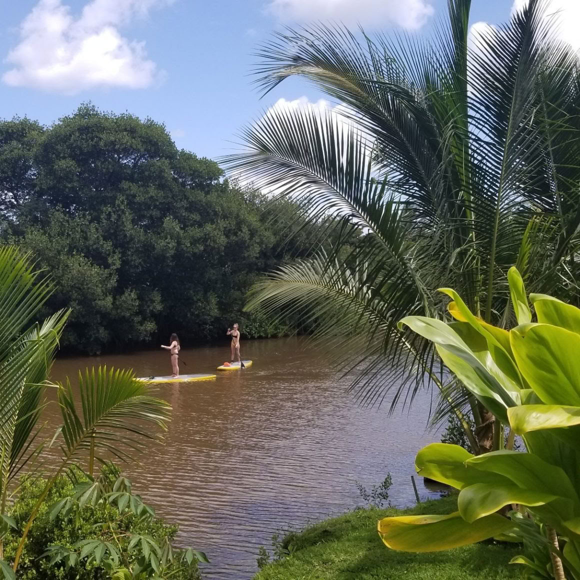 Clases de SUP semiprivadas