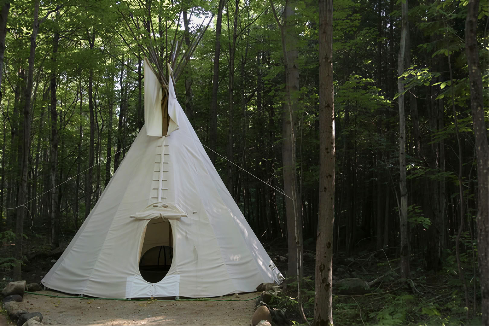 Raíces y Alas