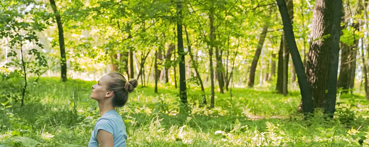 Yoga guiado en la naturaleza