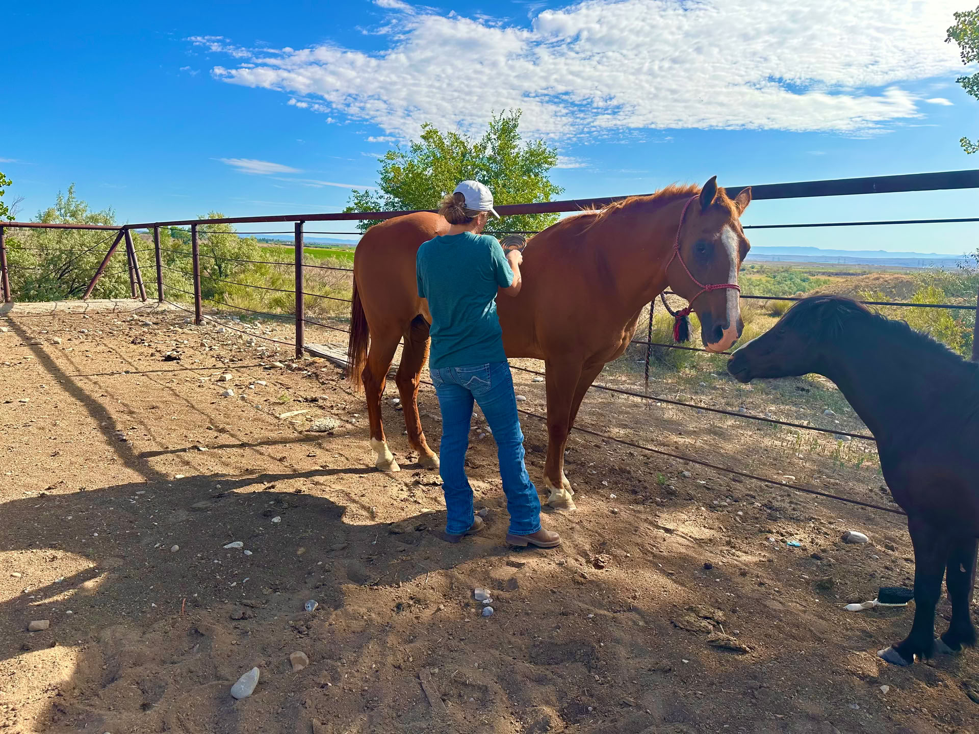 Corazones y Caballos para Mujeres