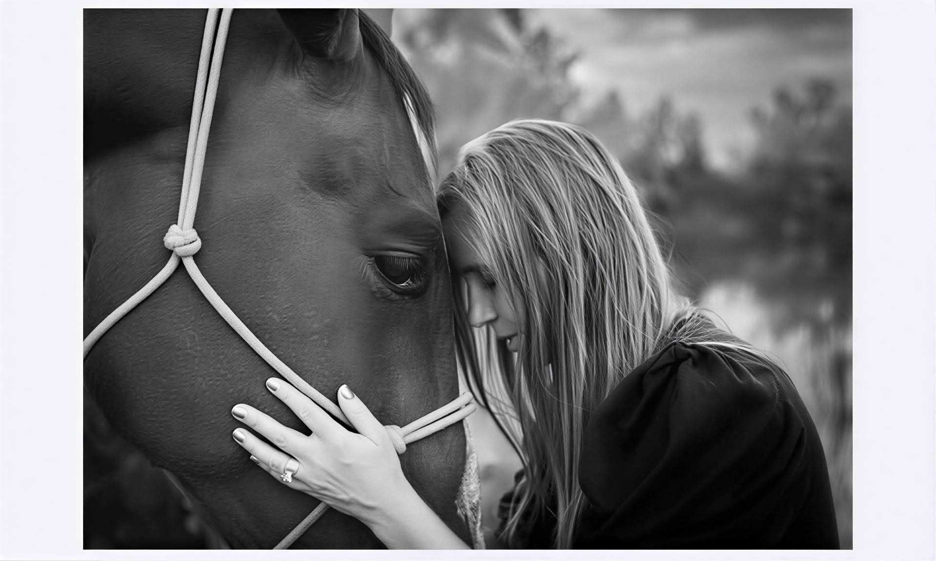 Corazones y Caballos para Mujeres