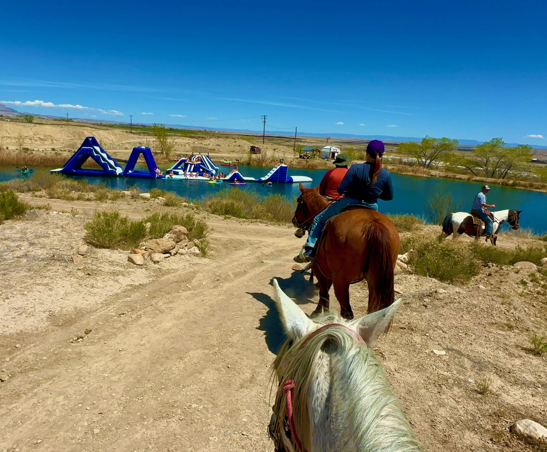 Corazones y Caballos para Mujeres