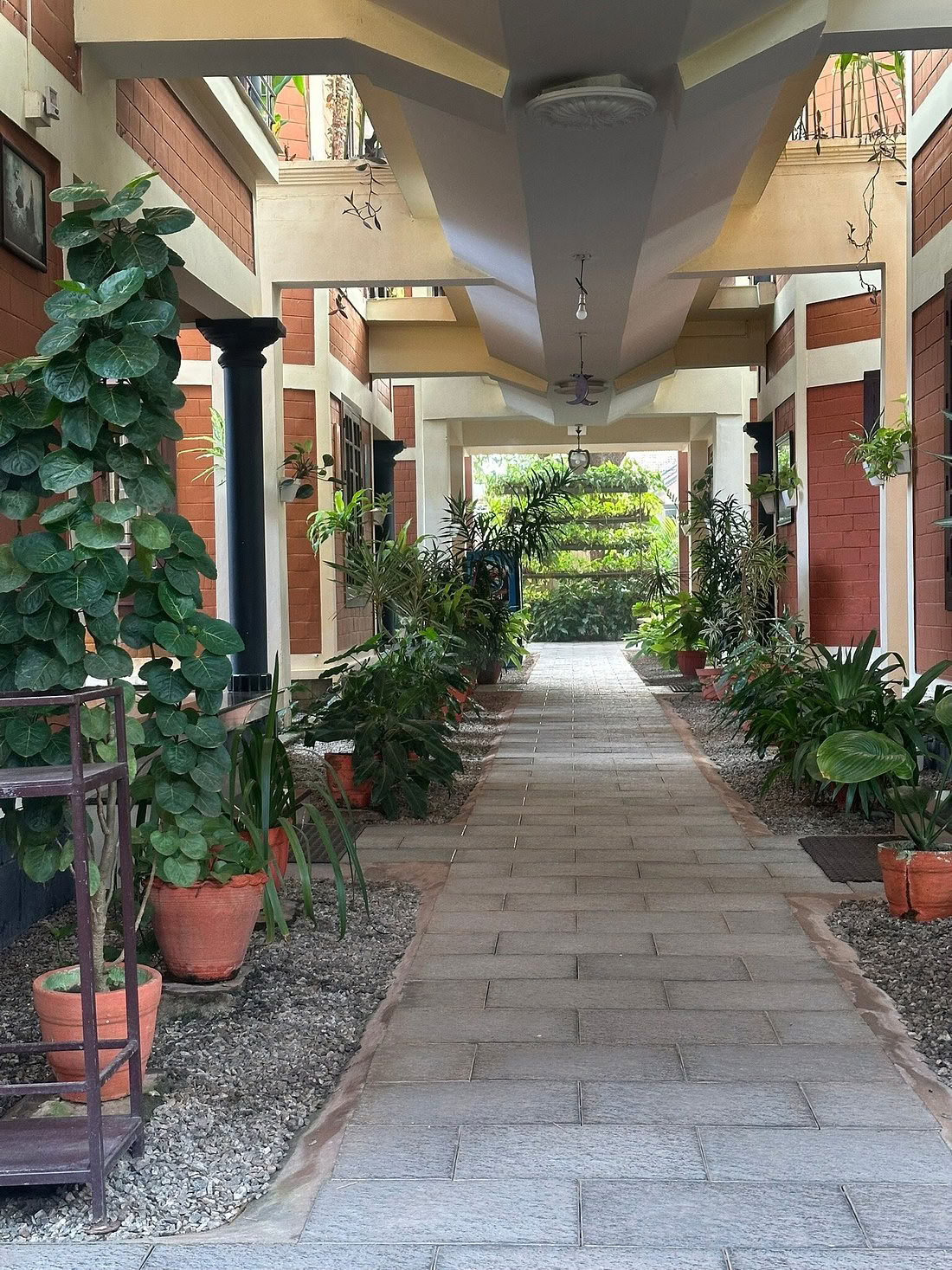 Entre el Océano y el Silencio: Retiro de Yoga y Ayurveda en el Corazón de Kerala, India