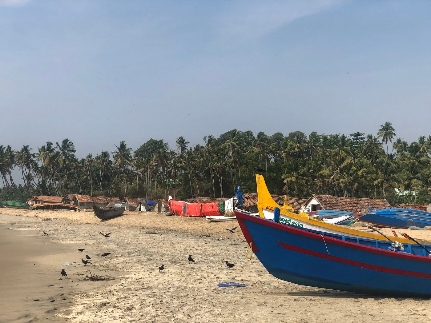 Entre el Océano y el Silencio: Retiro de Yoga y Ayurveda en el Corazón de Kerala, India