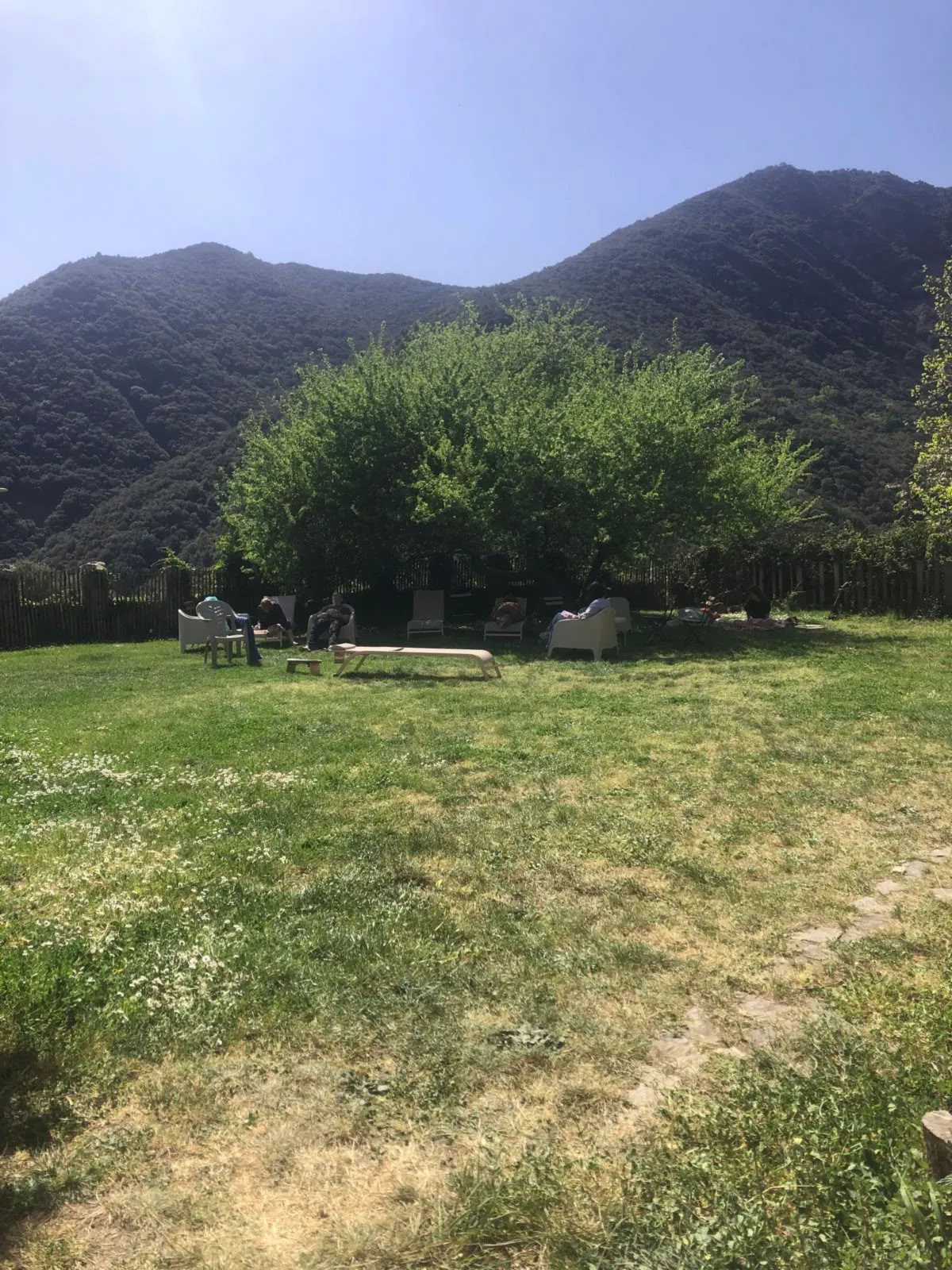 Retiro de ayahuasca, bufo, kambo y yopo — 4 días