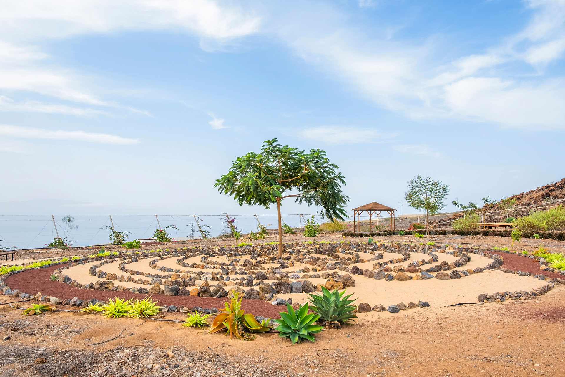 Tour de Meditación en Tenerife