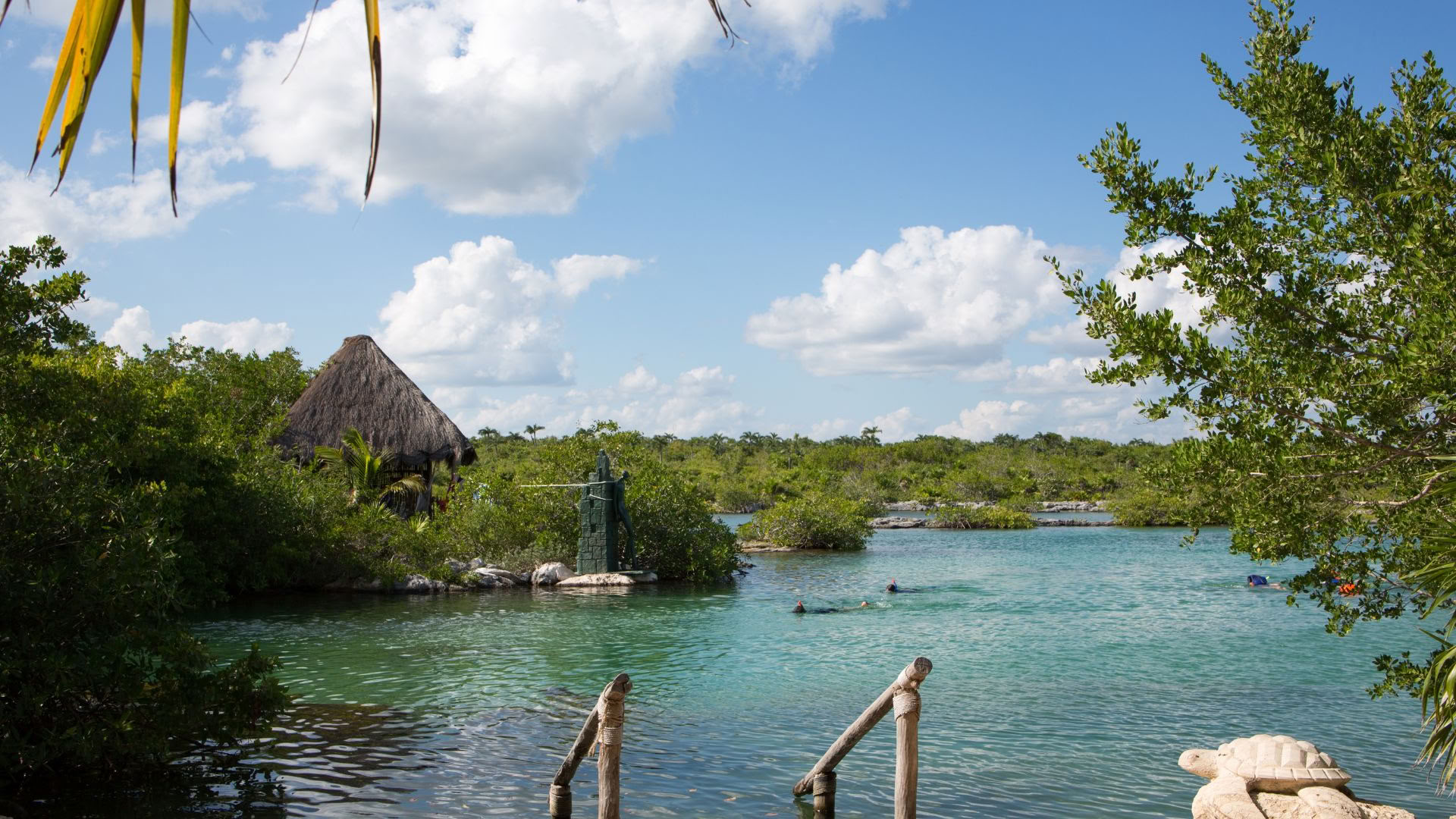 Retiro de bienestar en Akumal: suite con vistas al océano
