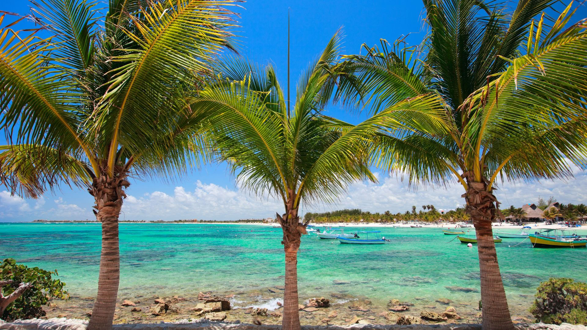 Retiro de bienestar en Akumal: habitación individual con baño privado