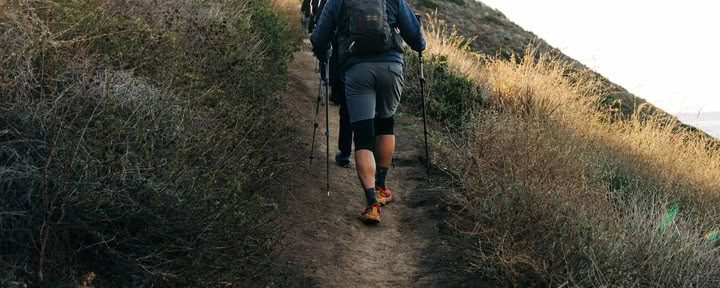 Sendero Backbone en Flor