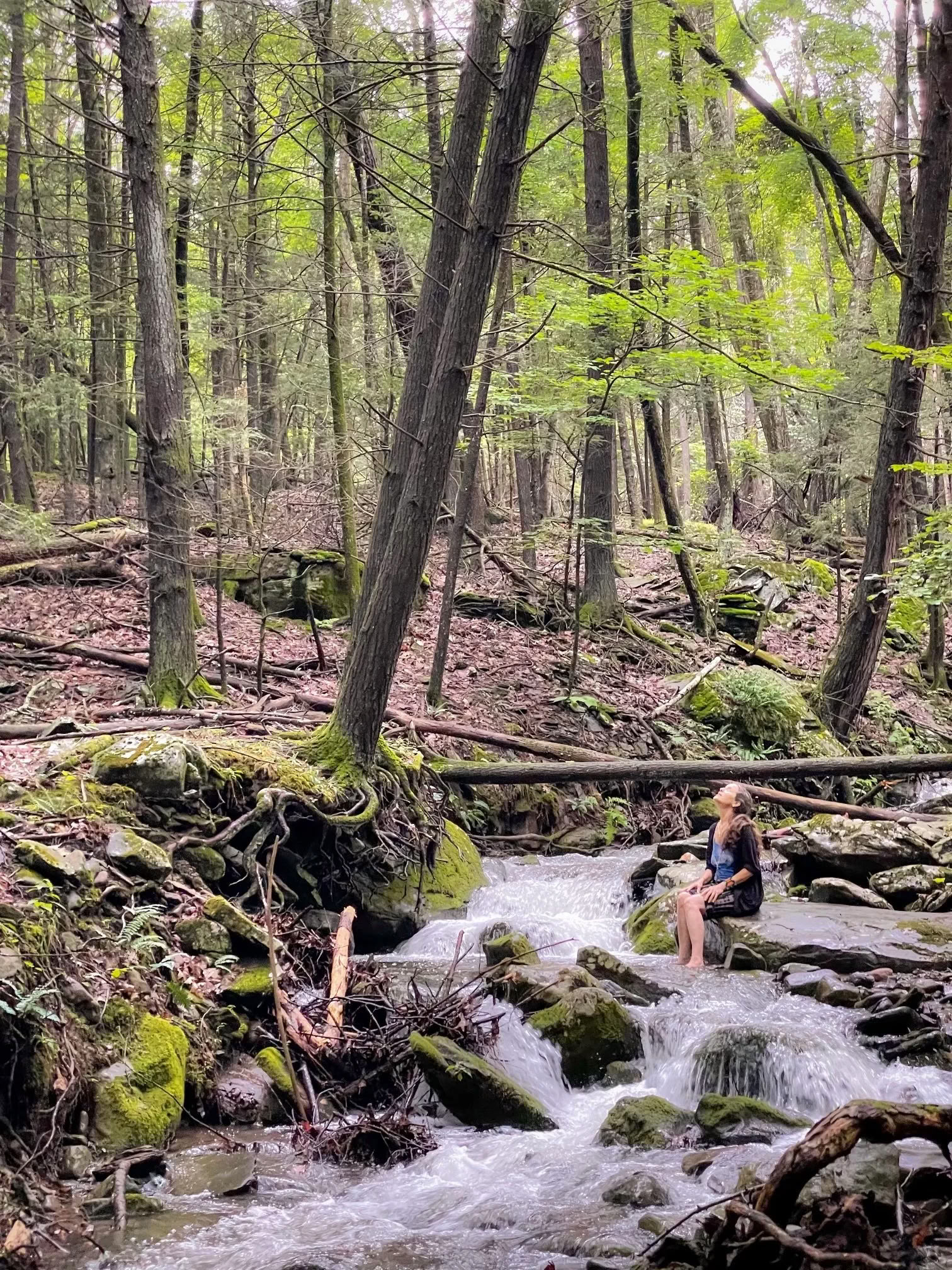Encuentro de cosecha en The N.E.S.T. con la Hudson Valley Psychedelic Society — ESKFF NEST