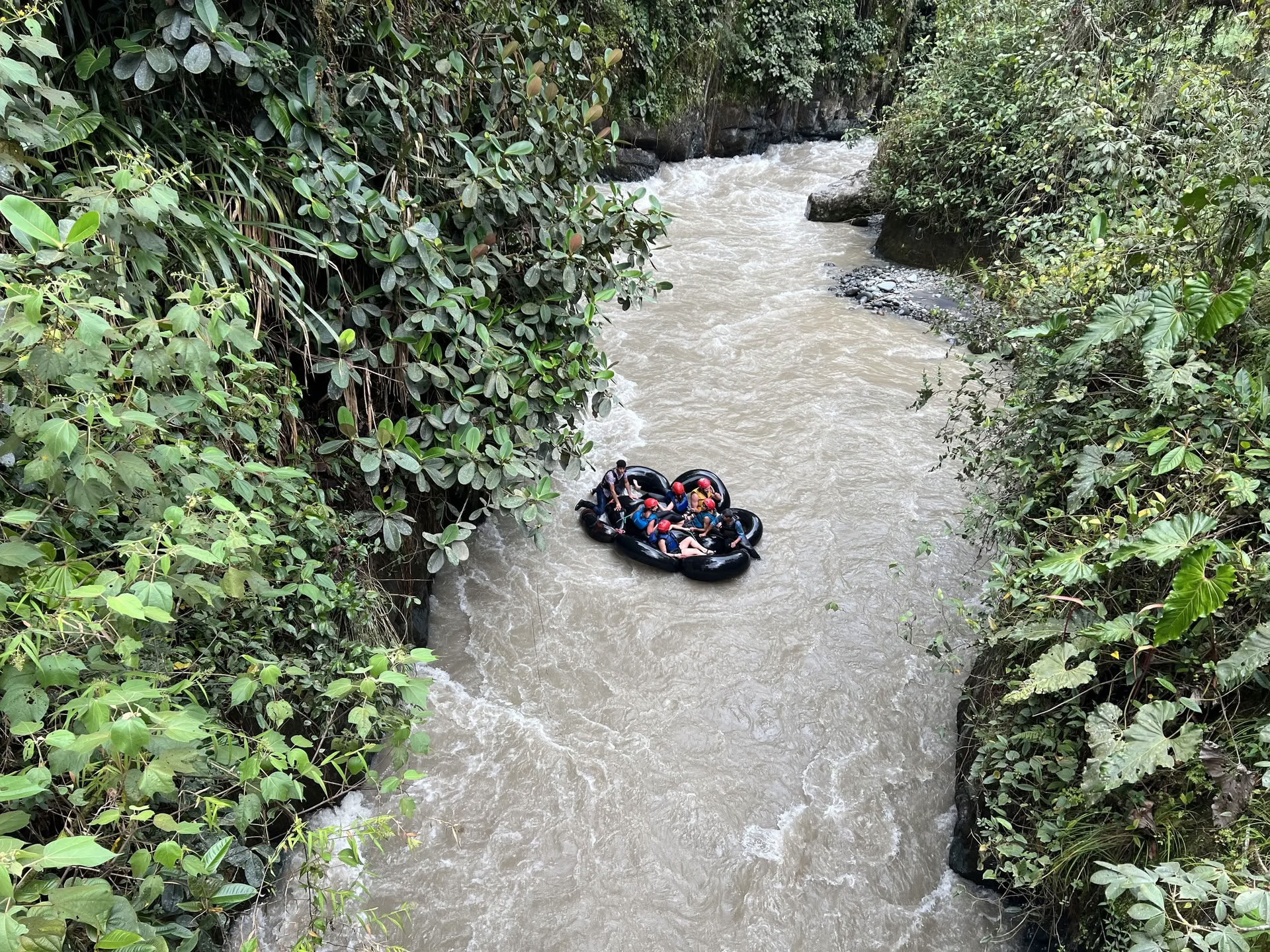 Viaje asistido con psilocibina