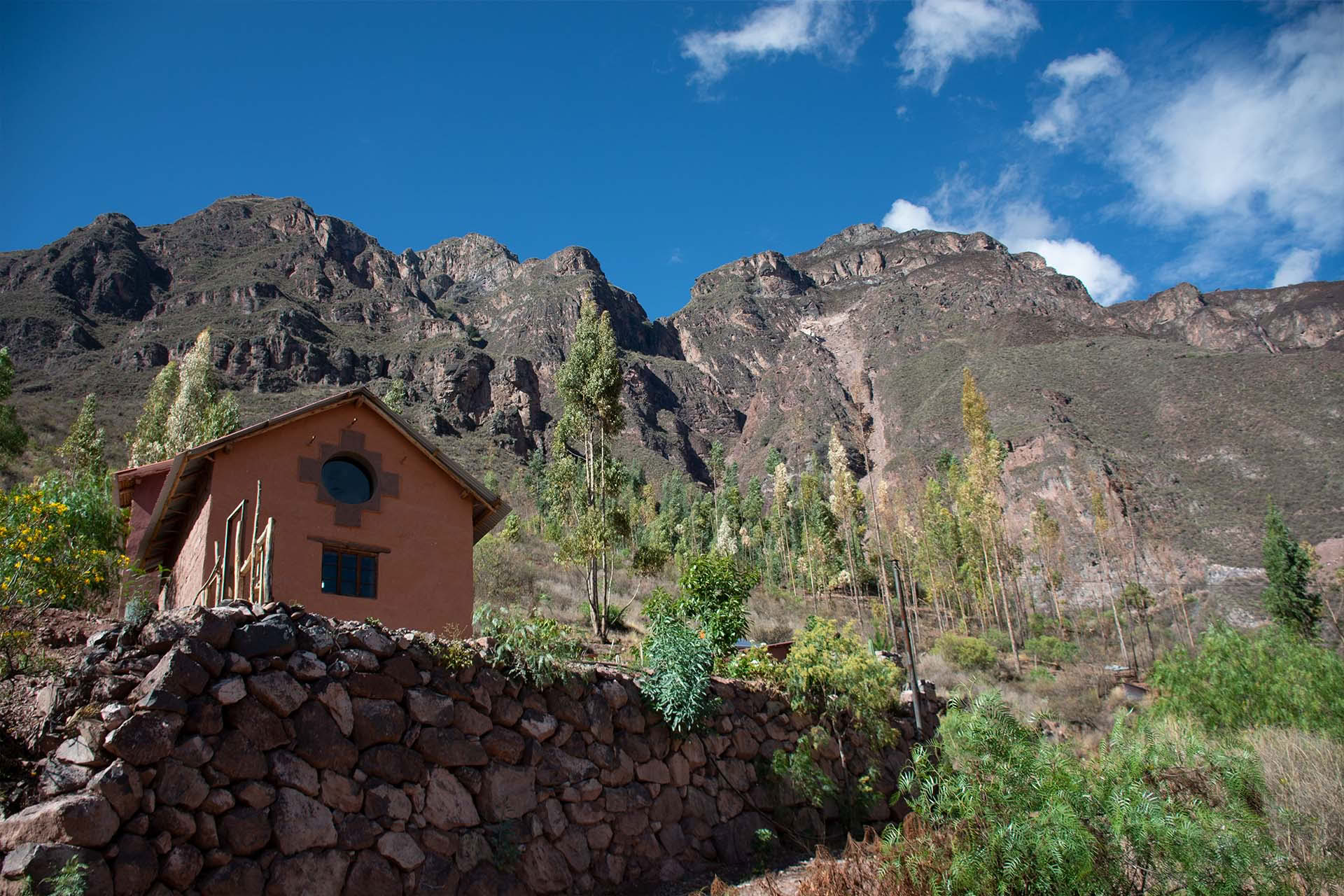 Retiro de ayahuasca y San Pedro de 3 días