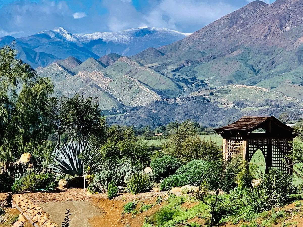 Horas de santuario