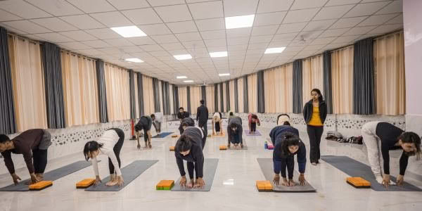 TTC de Terapia de Yoga de 100 Horas en Rishikesh