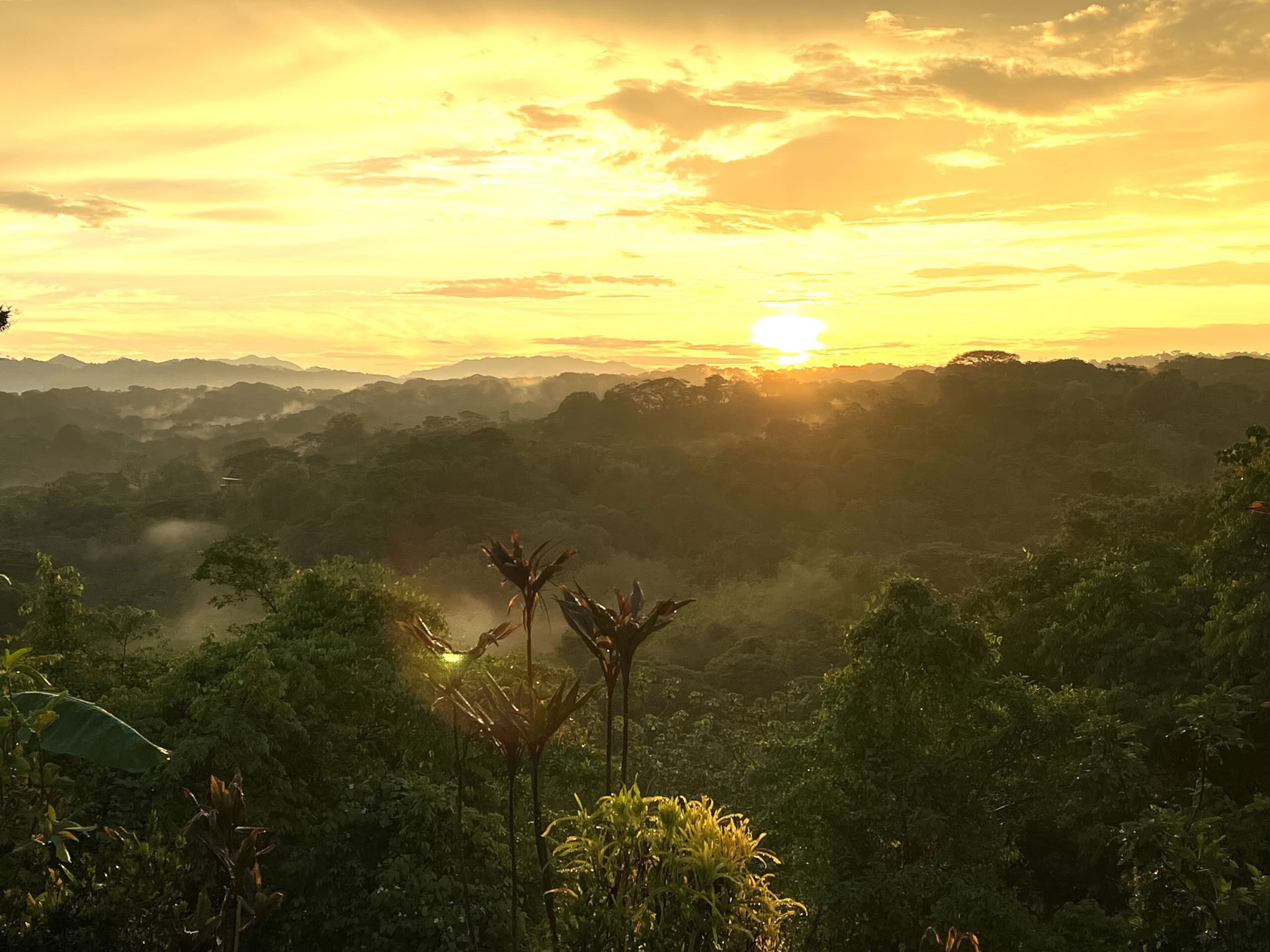 Retiro de yoga en Costa Rica