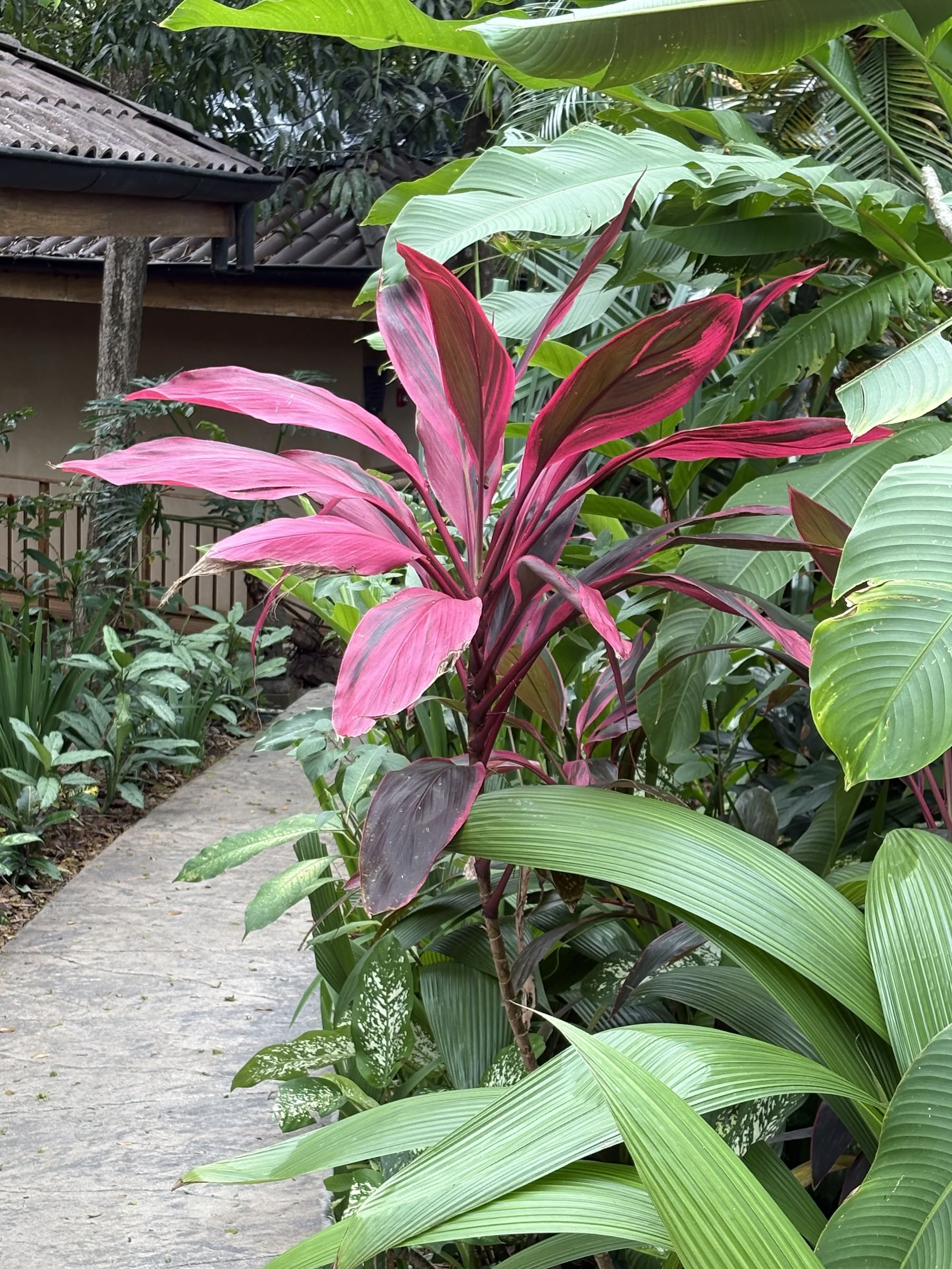 Retiro de enero de 2027 en Costa Rica