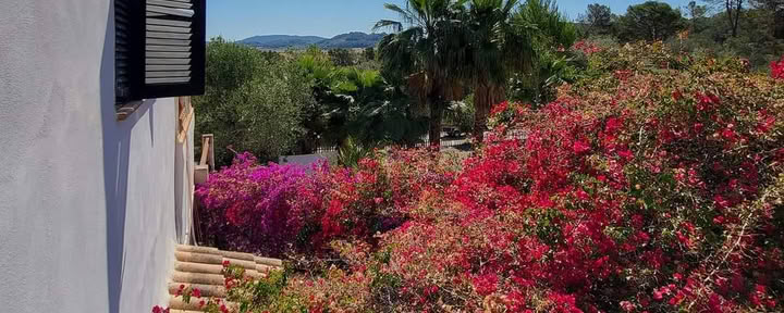 Retiro en Mallorca