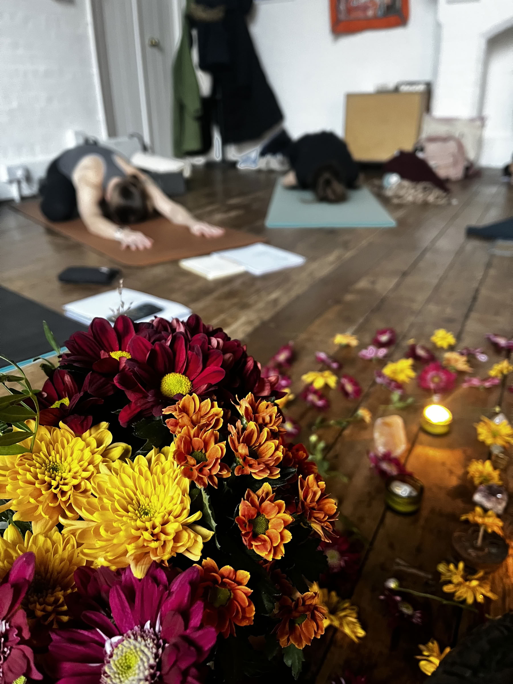 Formación de profesores de Yin Yoga de 30 horas