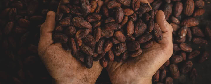 Retiro de Inmersión en Cacao