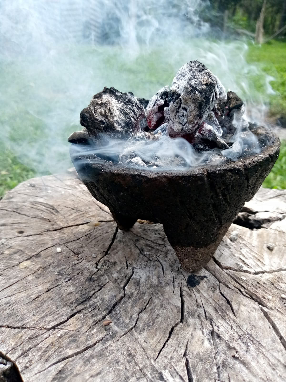 Ceremonia Privada Ayahuasca / San Pedro