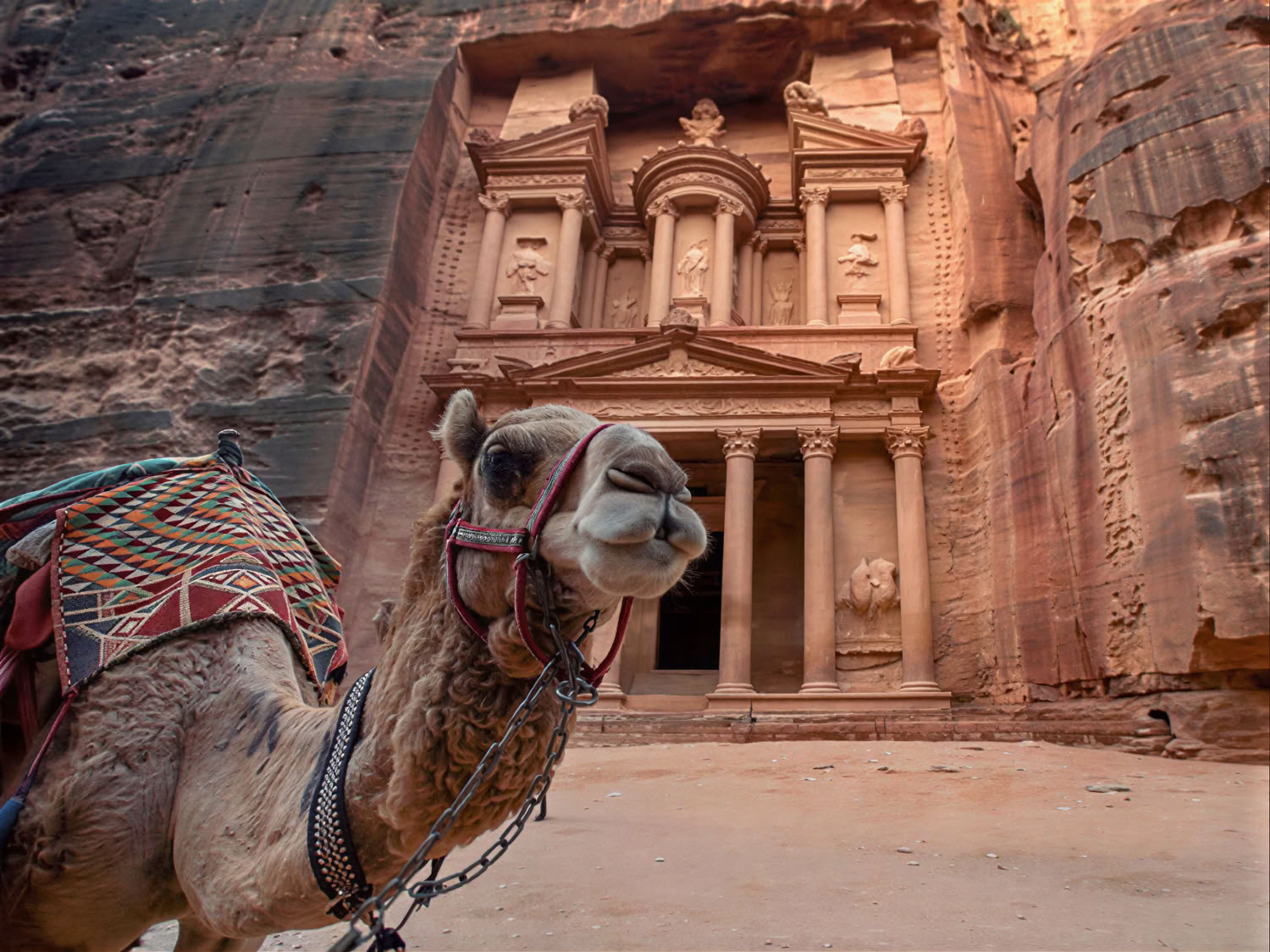 Escapada a Jordania