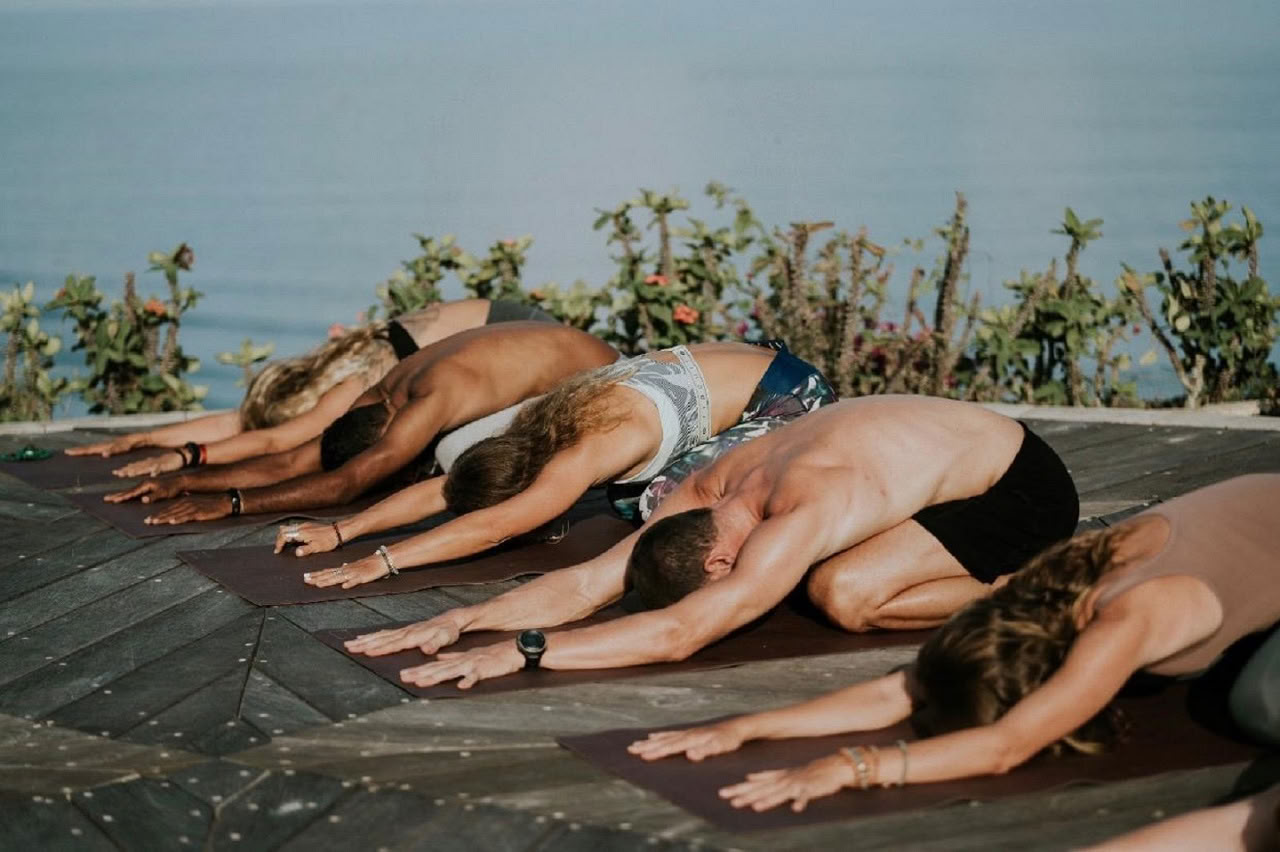 Curso de Especialización en Vinyasa Yoga