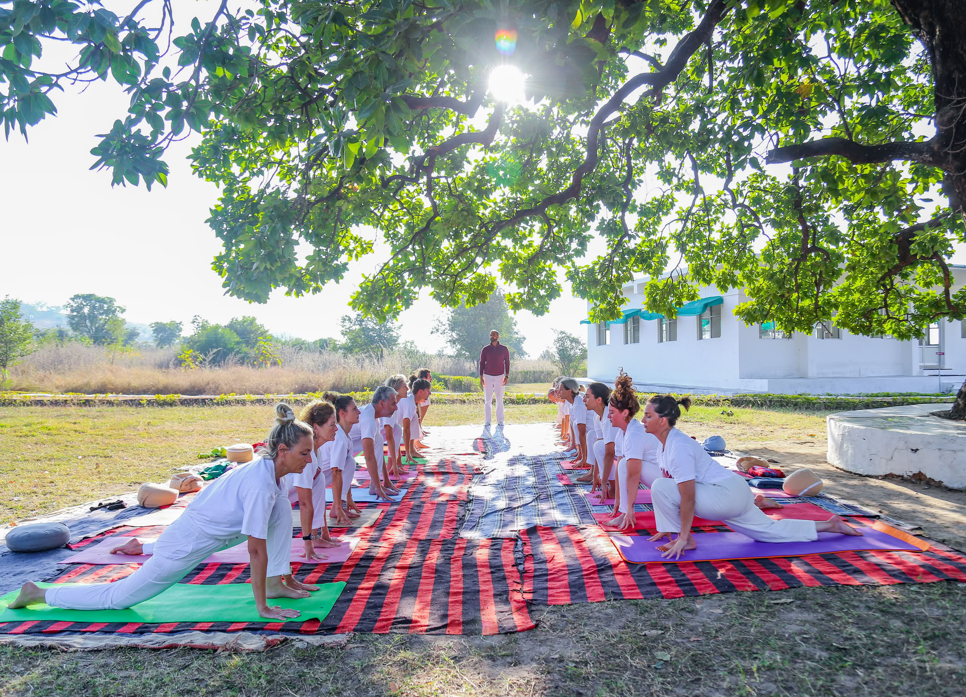 Estudia yoga en la India con un curso de formación de profesores de 200 horas