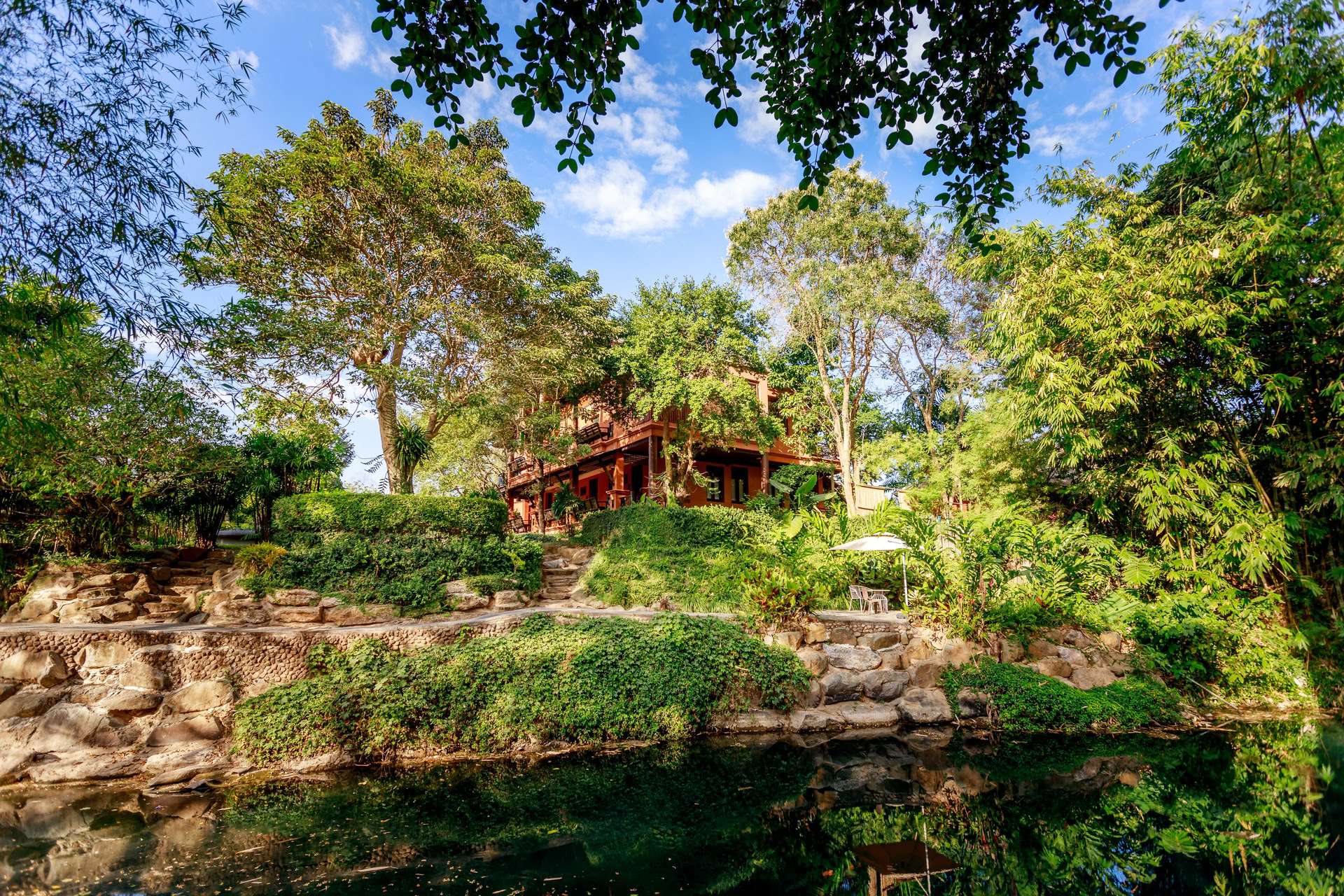 Reinicio Holina