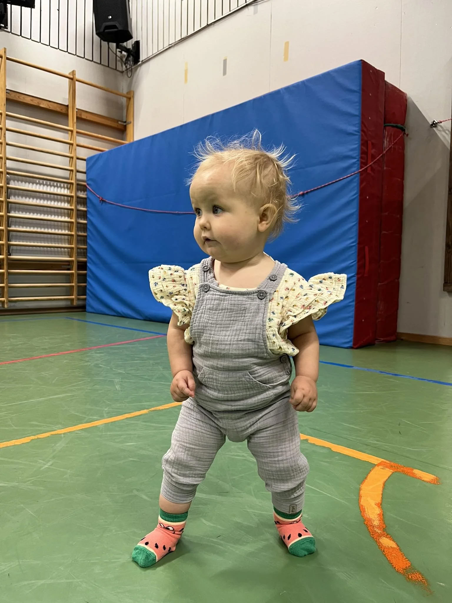 Mini-gimnasia