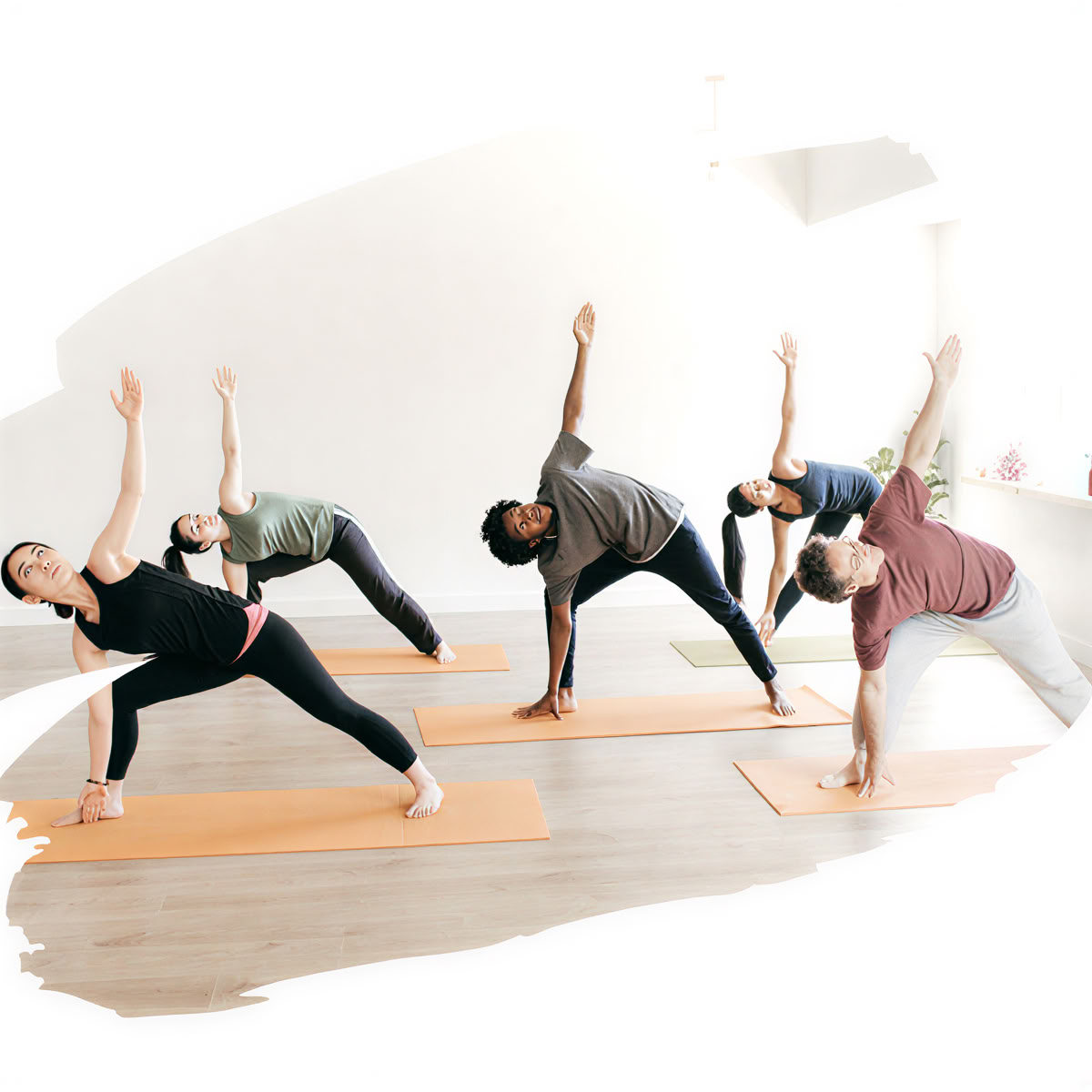 Formación de profesores de yoga 2027