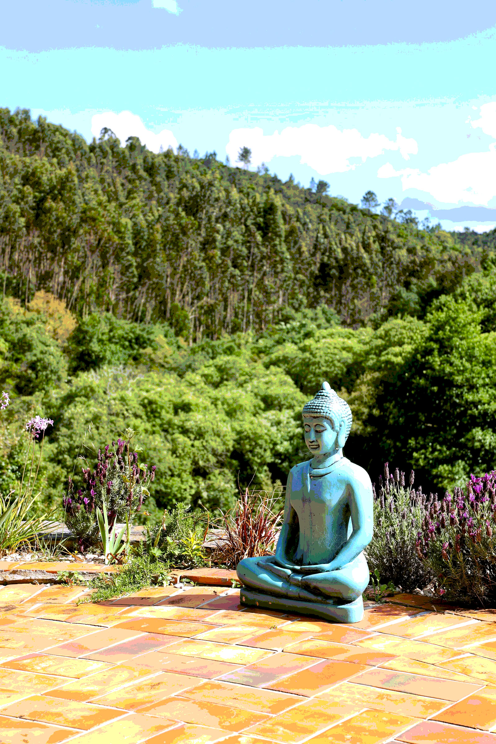 Retiro de Yoga y Bhakti hOMe