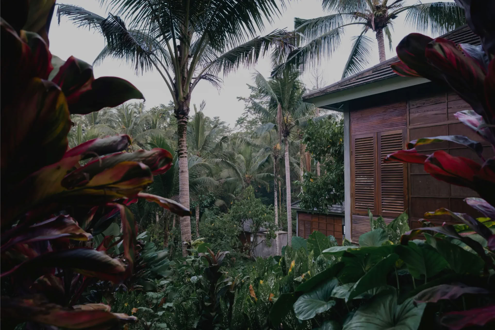 Retiro de 5 días de yoga en la selva, sanación con sonido y creatividad en Bali
