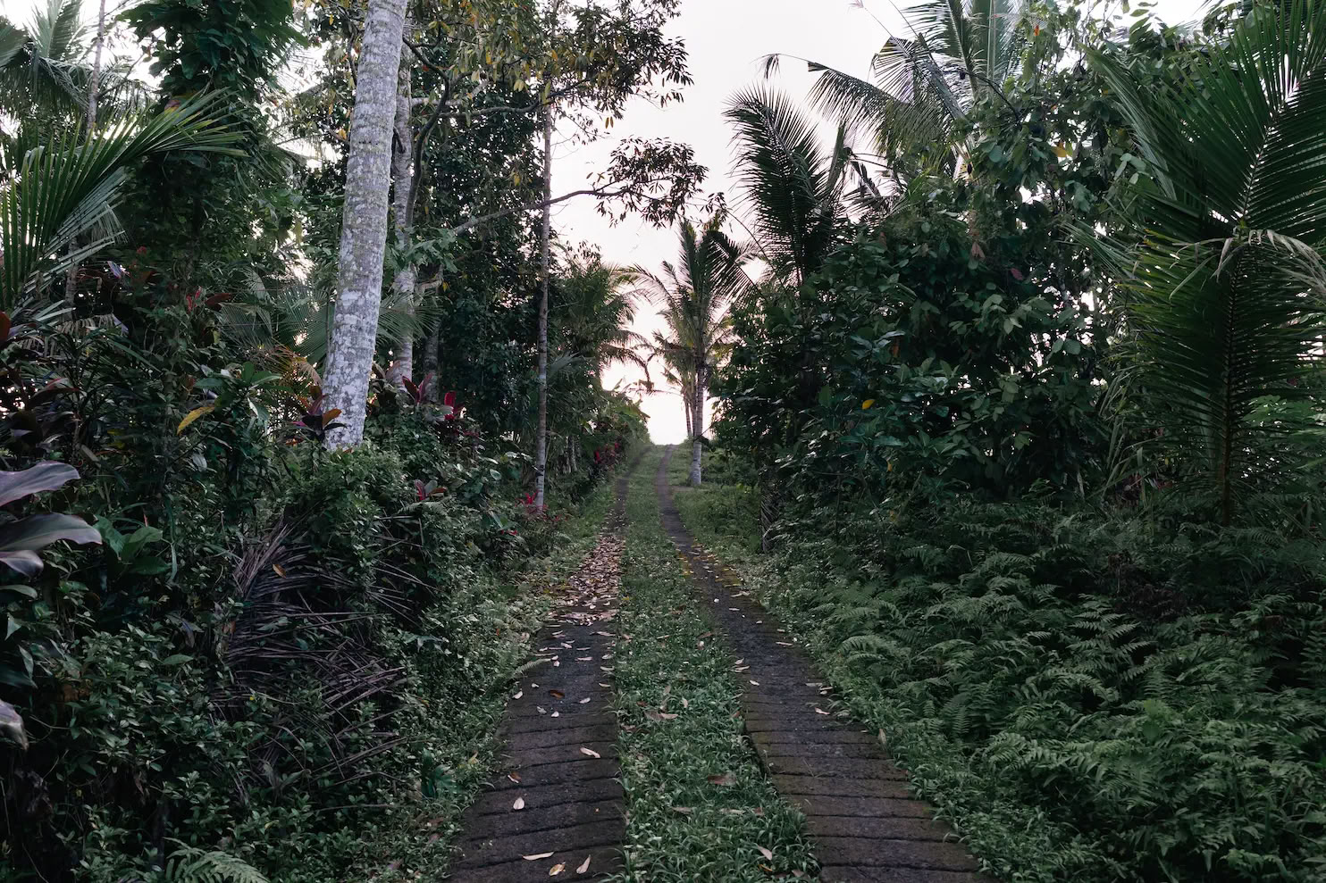 Retiro de 5 días de yoga en la selva, sanación con sonido y creatividad en Bali
