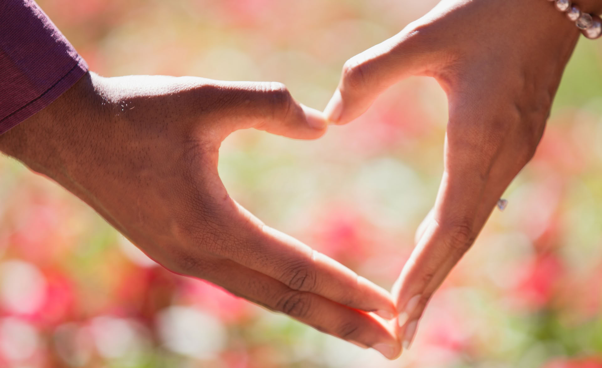 El amor es una elección