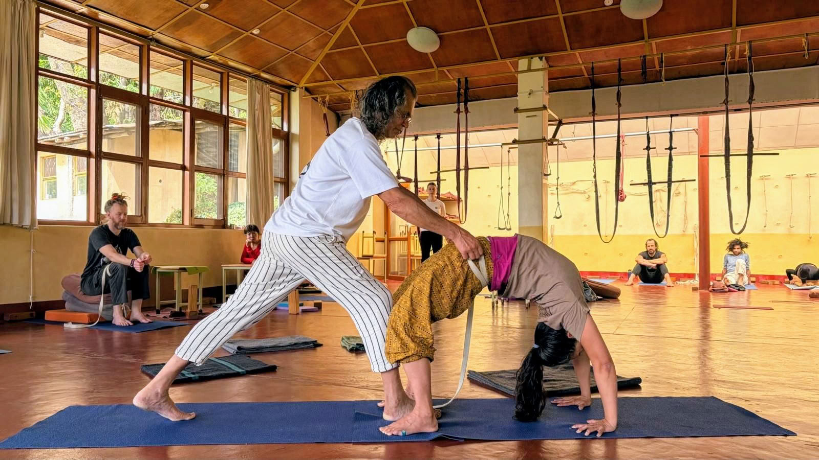Curso intensivo de yoga de 160 horas en Dharamshala