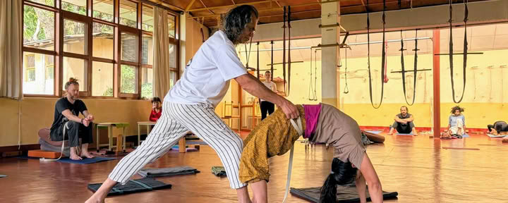 Curso intensivo de yoga de 160 horas en Dharamshala