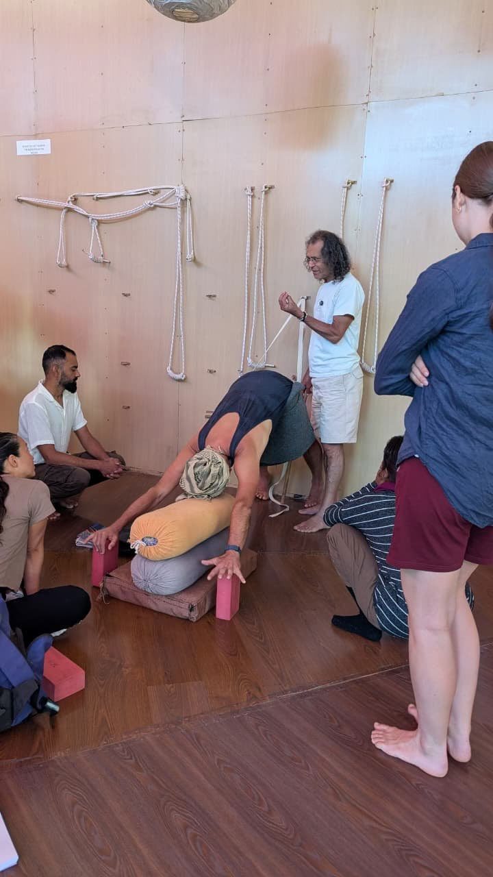 Formación de Profesores de Yoga de 320 Horas Dharamshala