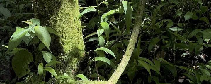 Retiro en Vilcabamba