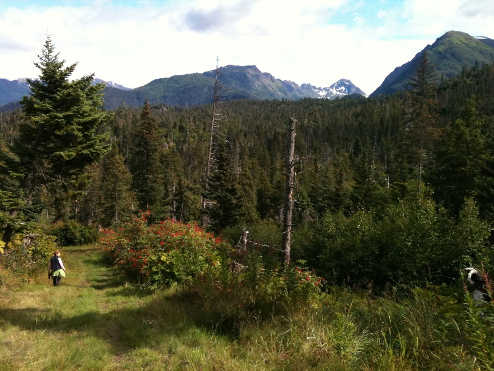 Senderismo local en Alaska