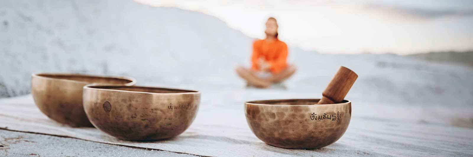 Formación de Profesores de Sanación con Sonido de 12 Días y 75 Horas en Rishikesh, India