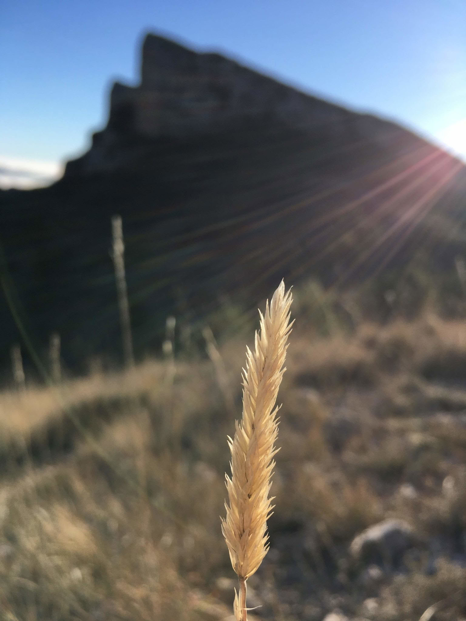 Encontrando la paz